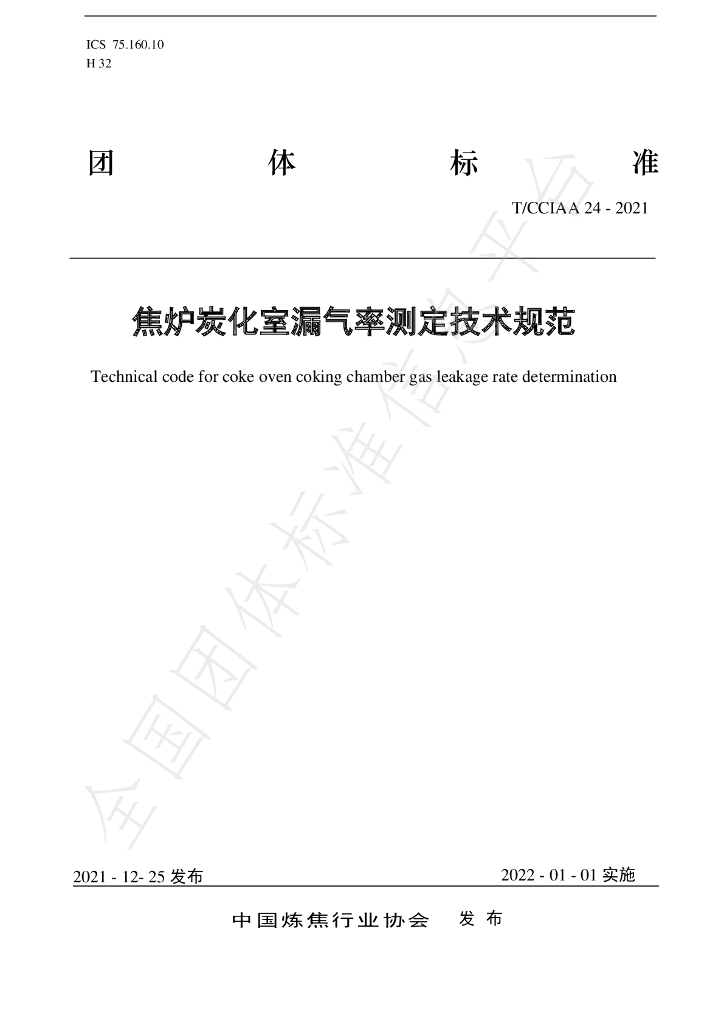 T/CCIAA 24-2021 标准预览