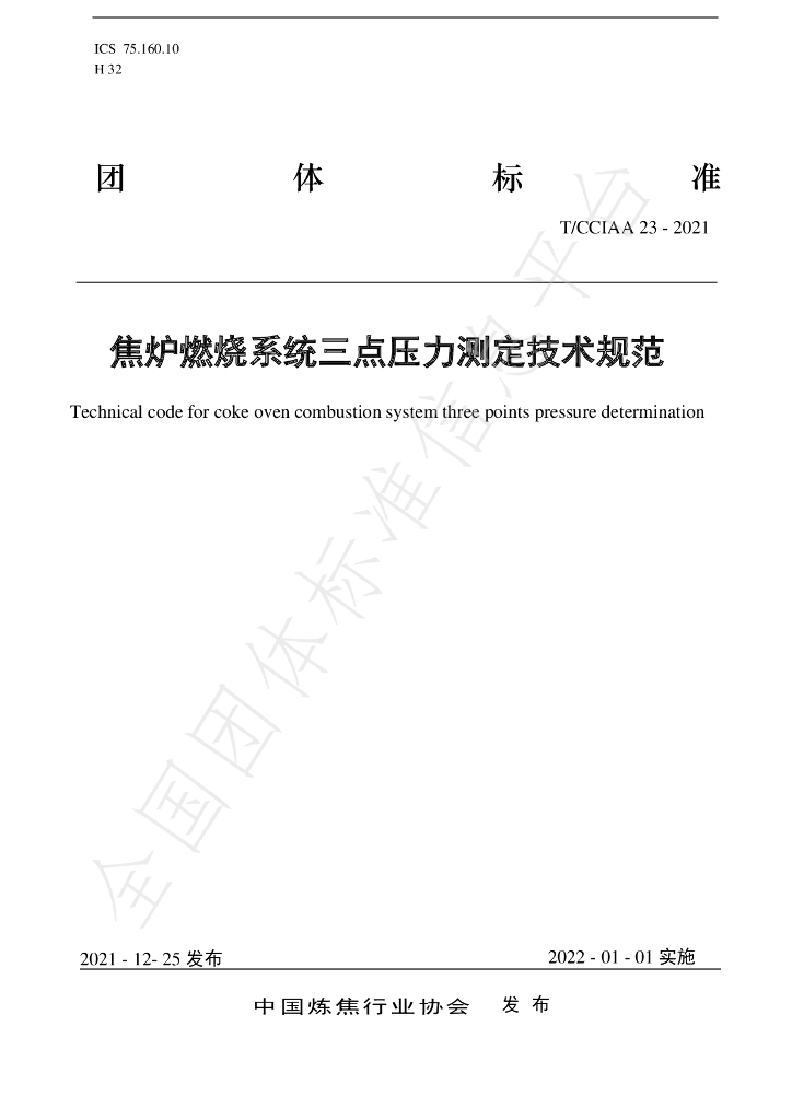 T/CCIAA 23-2021 标准预览
