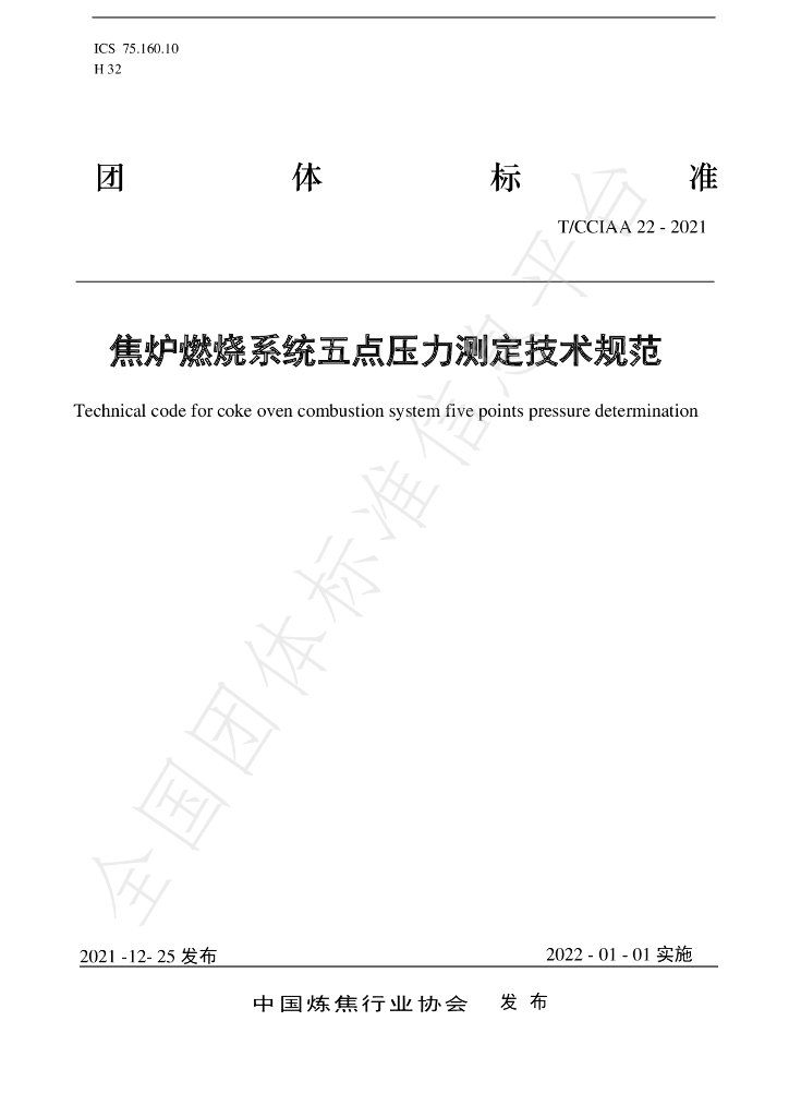 T/CCIAA 22-2021 标准预览