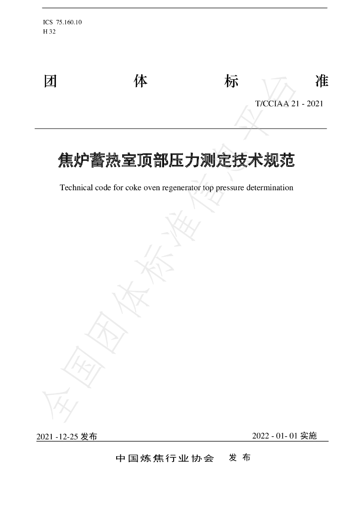 T/CCIAA 21-2021 标准预览