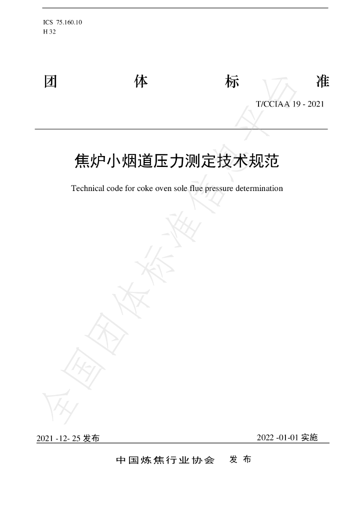 T/CCIAA 19-2021 标准预览