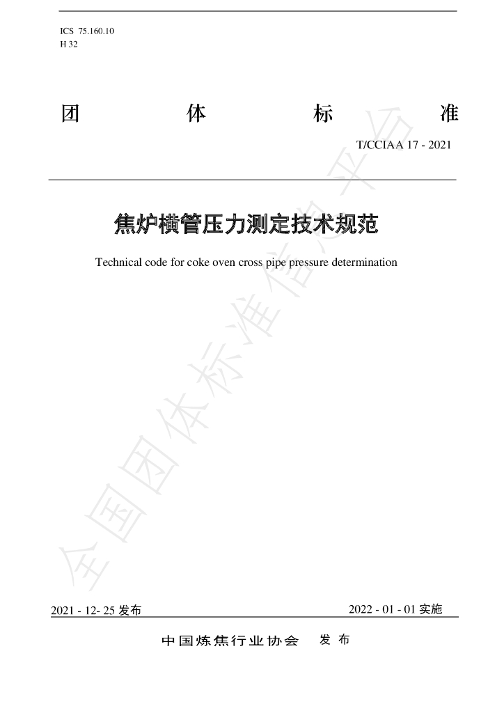 T/CCIAA 17-2021 标准预览