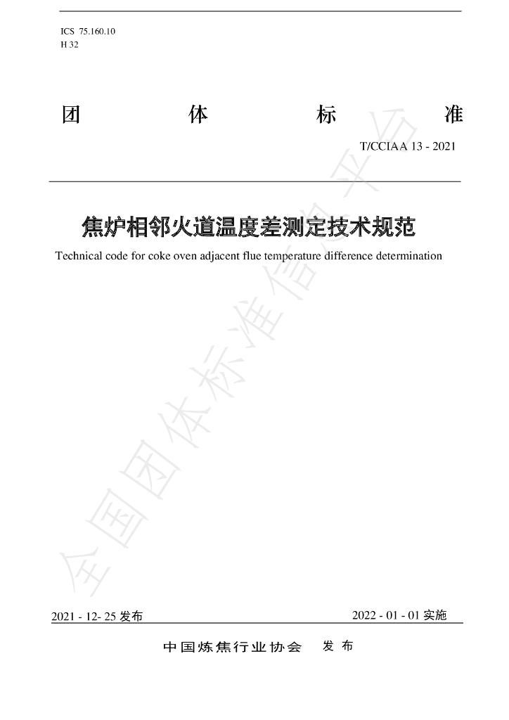 T/CCIAA 13-2021 标准预览