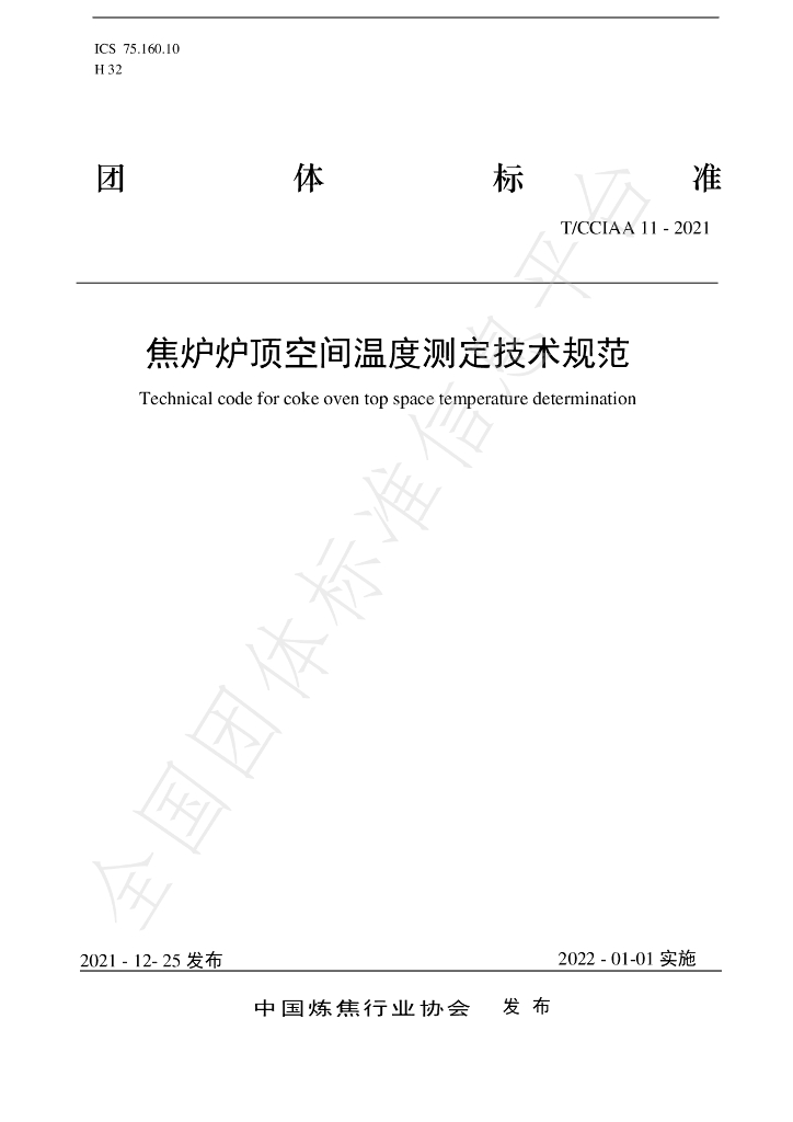 T/CCIAA 11-2021 标准预览