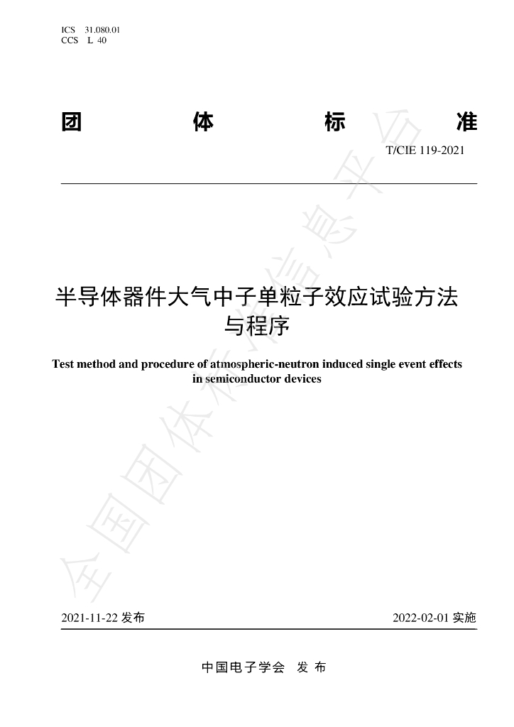 T/CIE 119-2021 标准预览