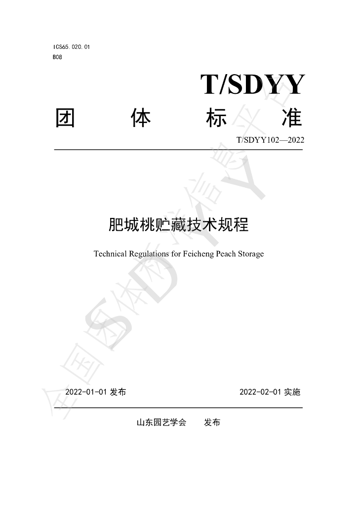 T/SDYY 102-2022 标准预览