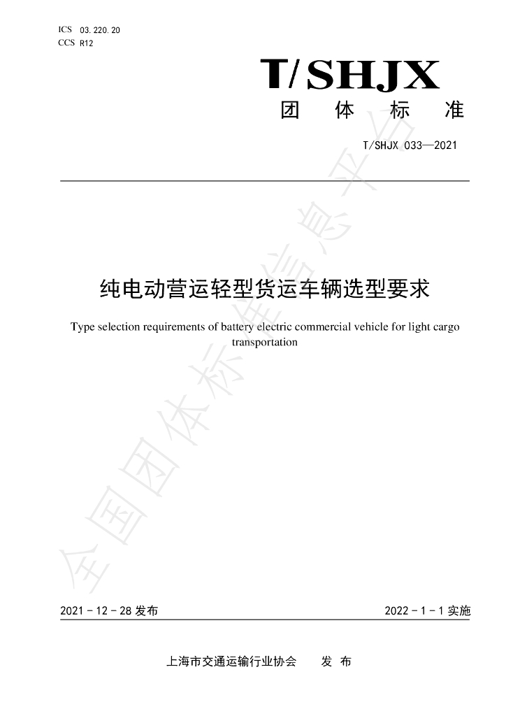 T/SHJX 033-2021 标准预览