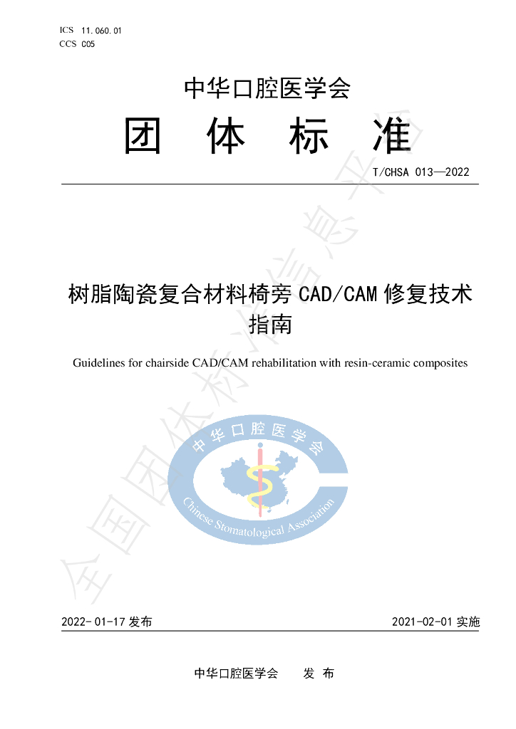 T/CHSA 013-2022 标准预览