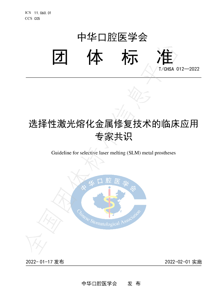 T/CHSA 012-2022 标准预览