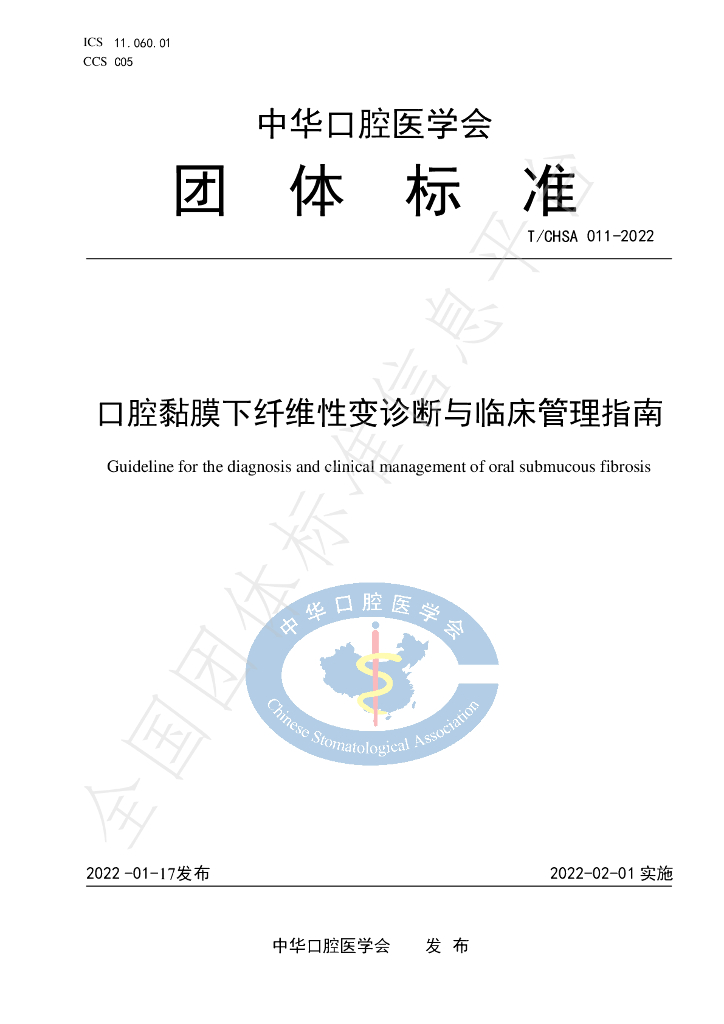 T/CHSA 011-2022 标准预览