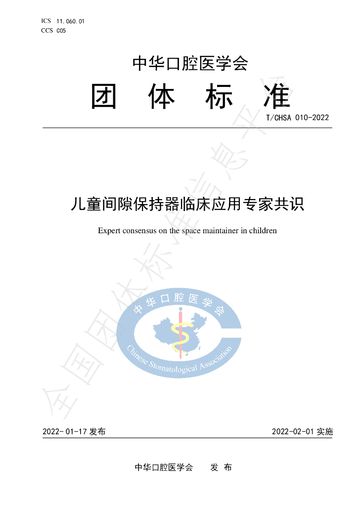T/CHSA 010-2022 标准预览