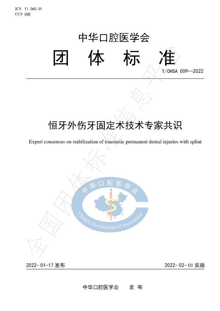 T/CHSA 009-2022 标准预览