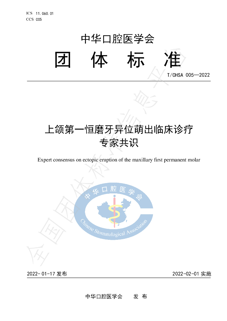T/CHSA 005-2022 标准预览