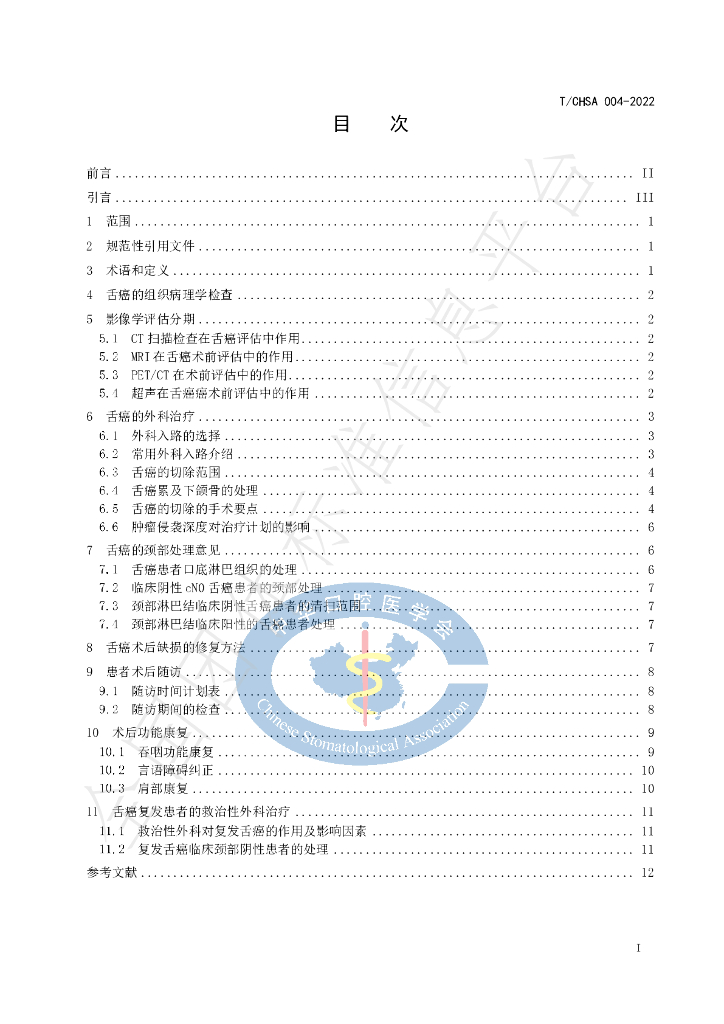 T/CHSA 004-2022 标准预览
