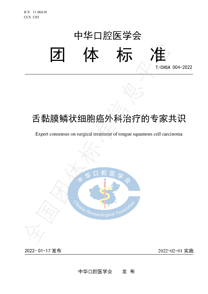 T/CHSA 004-2022 标准预览