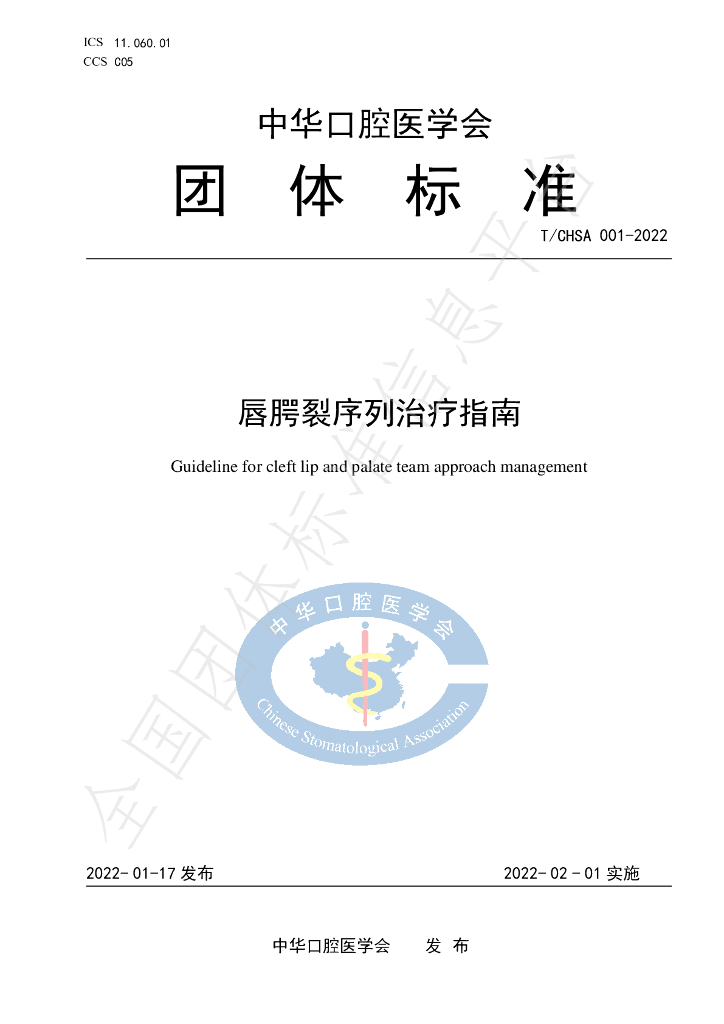 T/CHSA 001-2022 标准预览