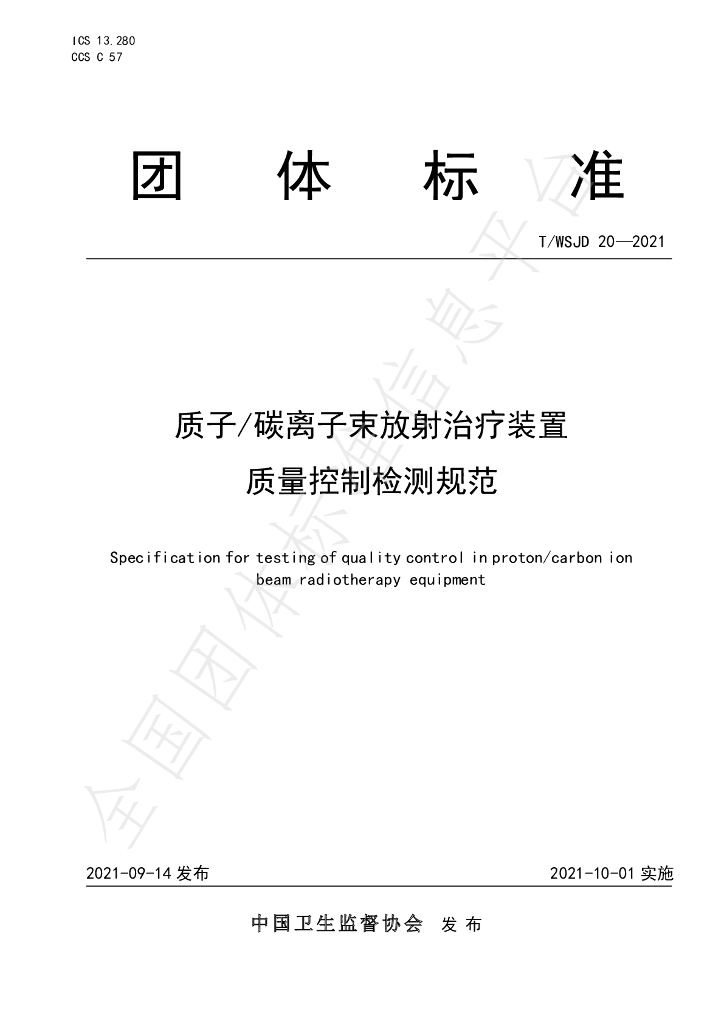 T/WSJD 20-2021 标准预览