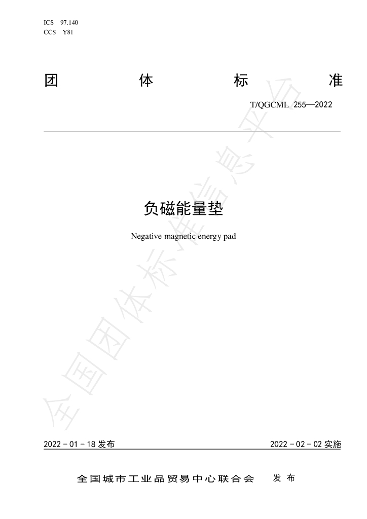 T/QGCML 255-2022 标准预览