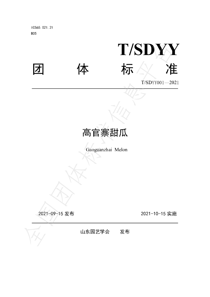 T/SDYY 001-2021 标准预览