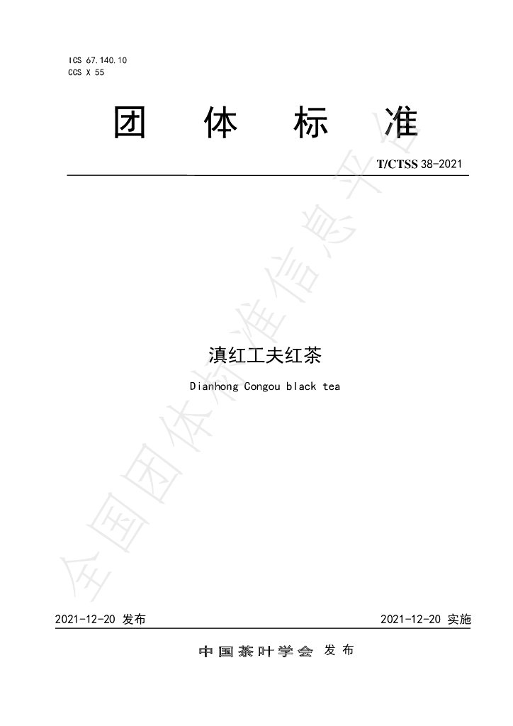T/CTSS 38-2021 标准预览