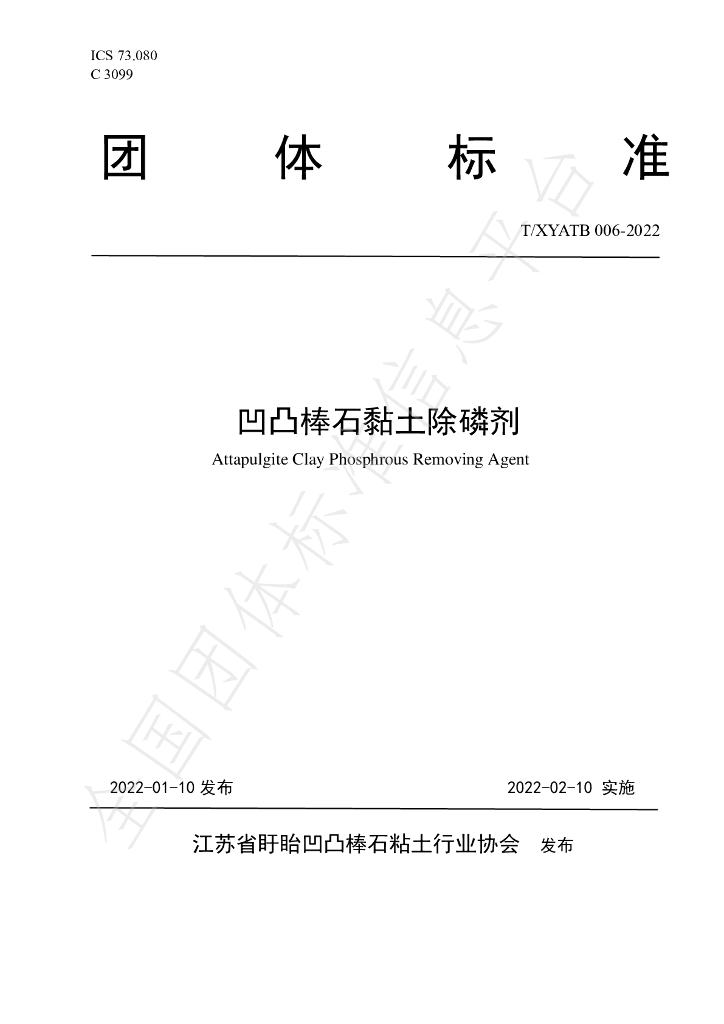 T/XYATB 006-2022 标准预览