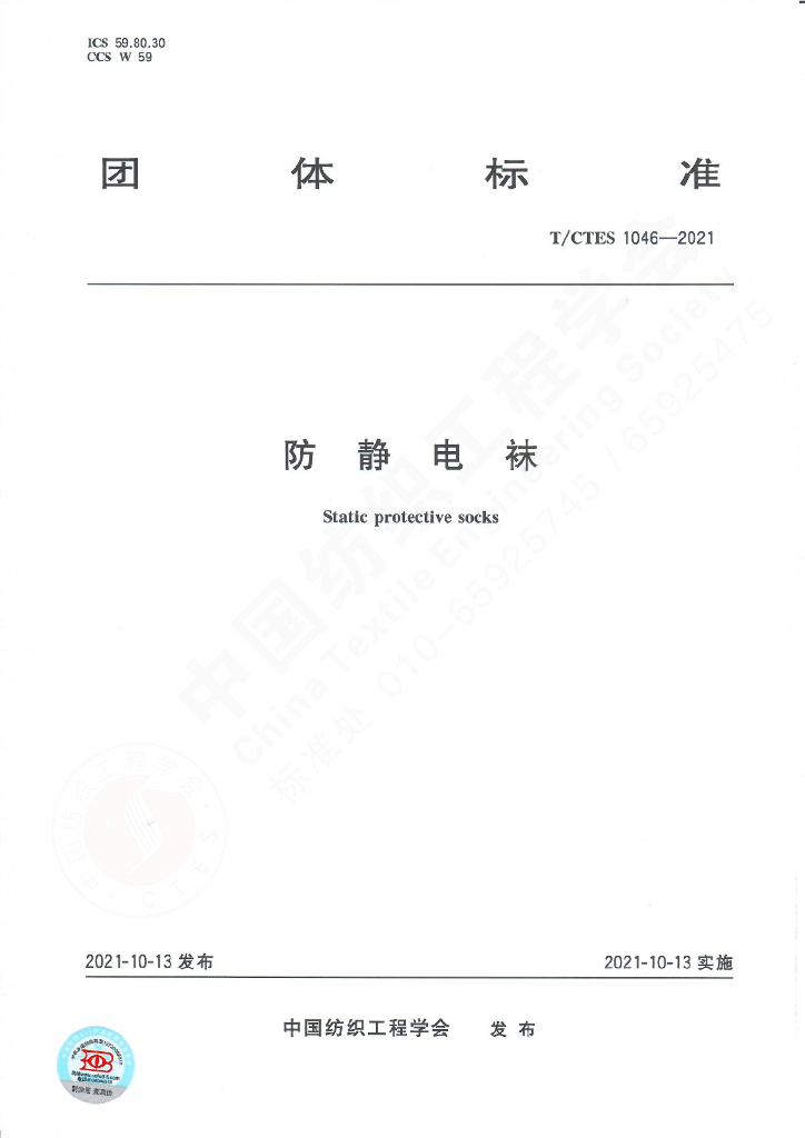 T/CTES 1046-2021 标准预览