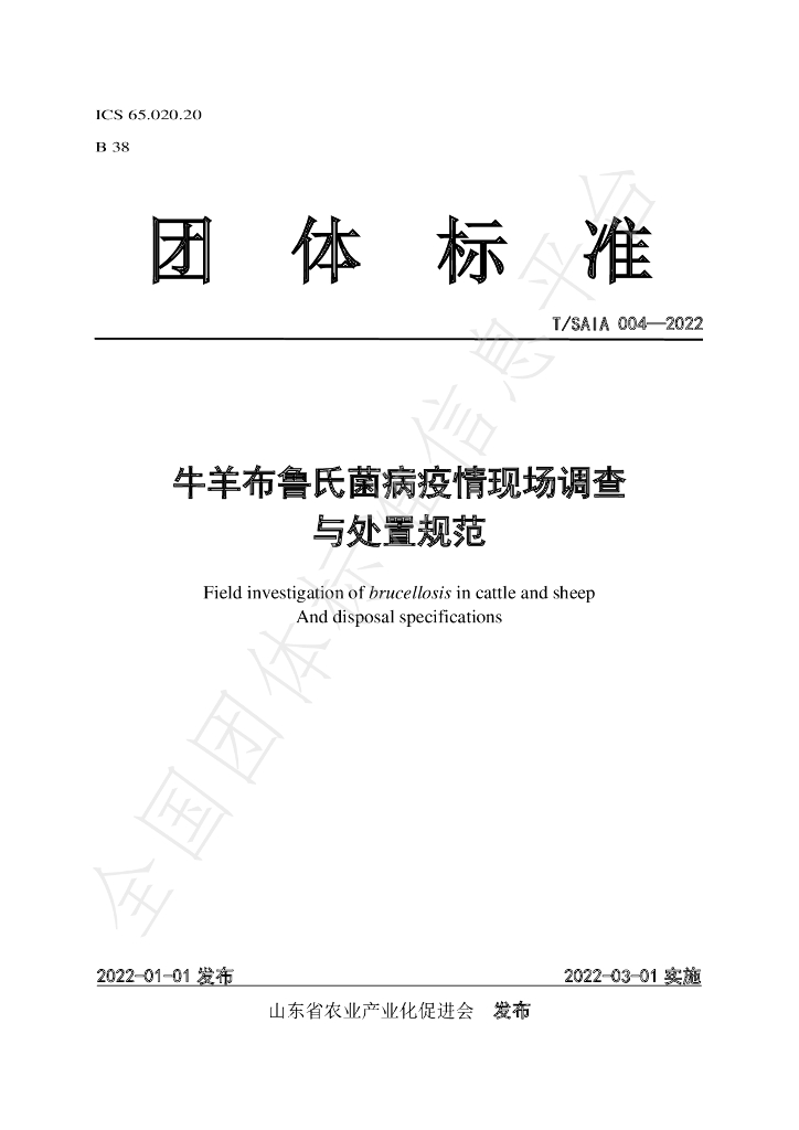 T/SAIA 004-2022 标准预览