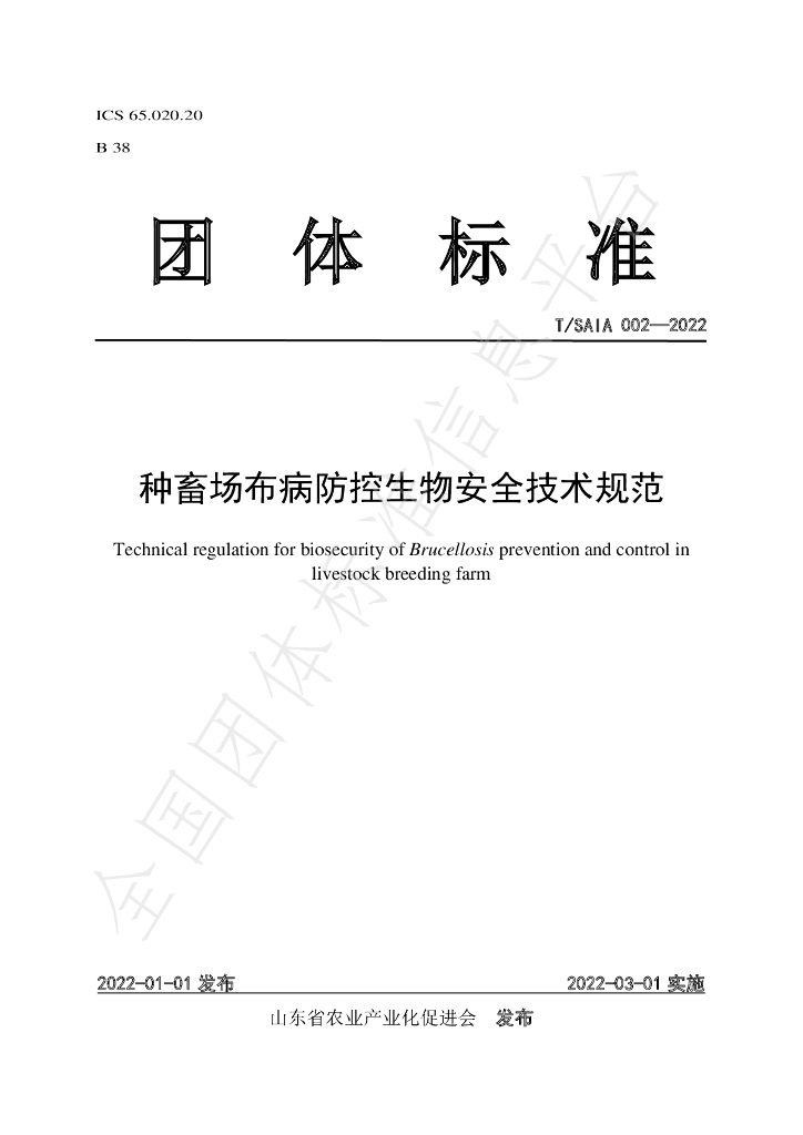 T/SAIA 002-2022 标准预览
