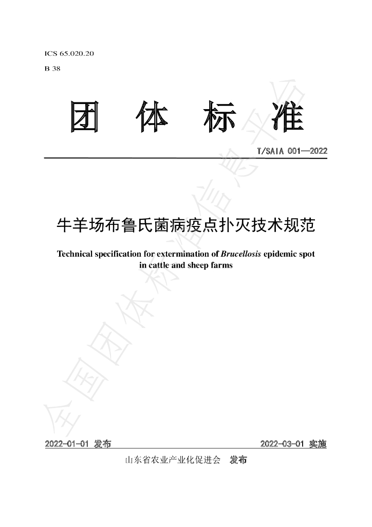 T/SAIA 001-2022 标准预览