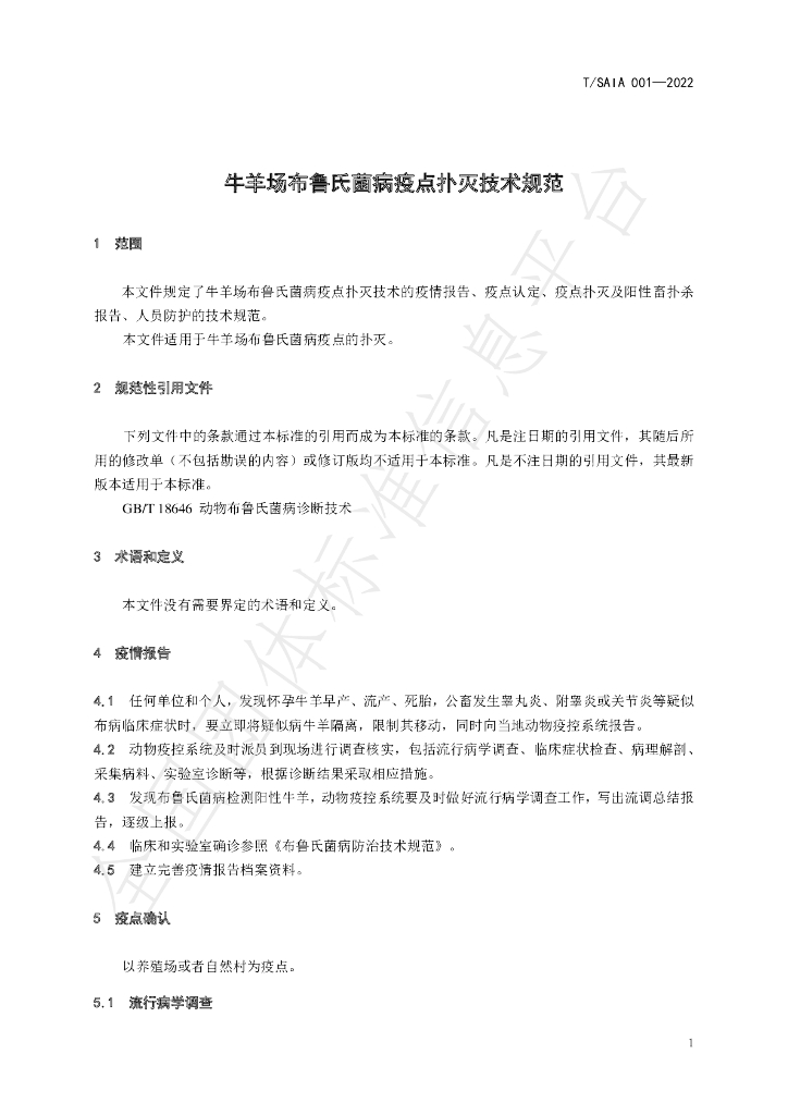 T/SAIA 001-2022 标准预览