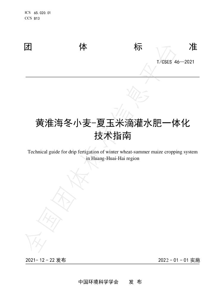 T/CSES 46-2021 标准预览