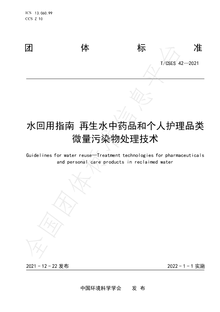T/CSES 42-2021 标准预览