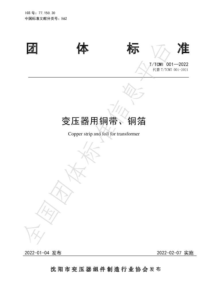 T/TCMI 001-2022 标准预览