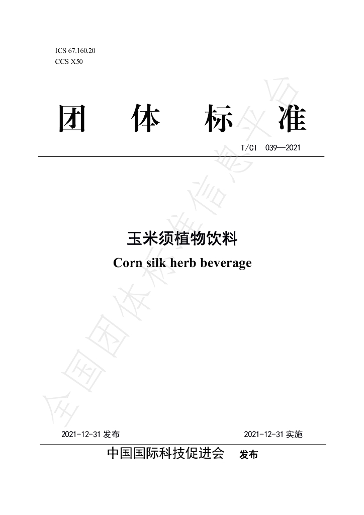 T/CI 039-2021 标准预览