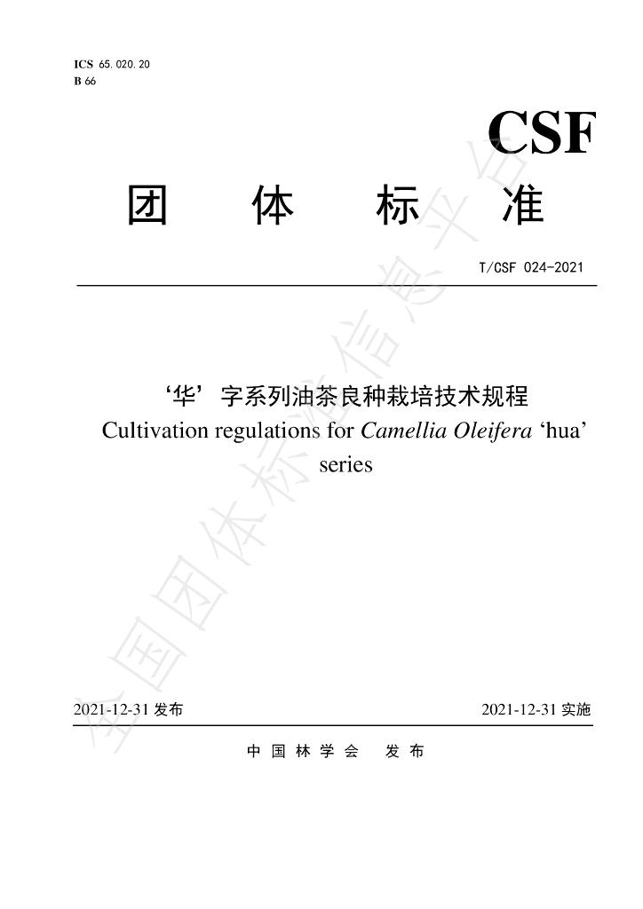 T/CSF 024-2021 标准预览
