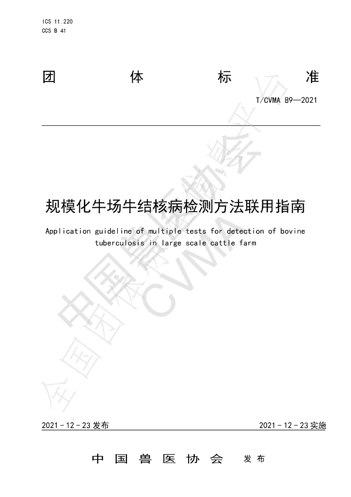 T/CVMA 89-2021 标准预览