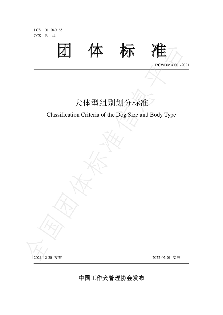 T/CWDMA 001-2021 标准预览