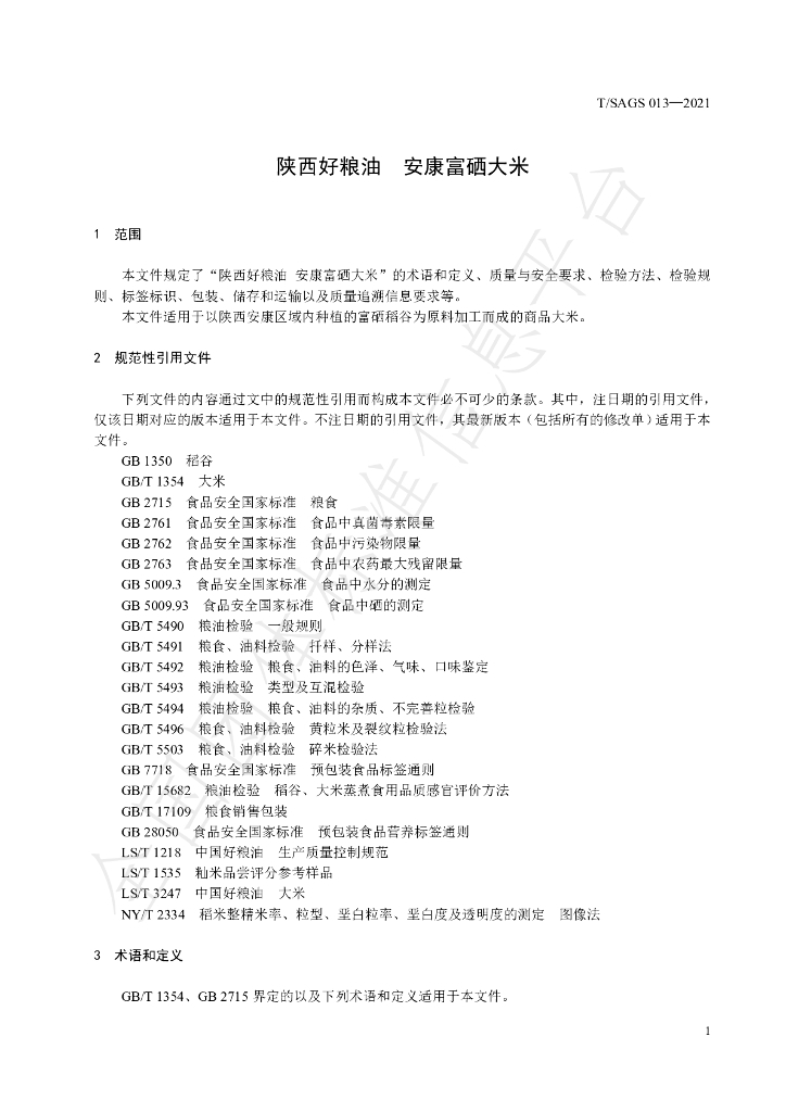 T/SAGS 013-2021 标准预览