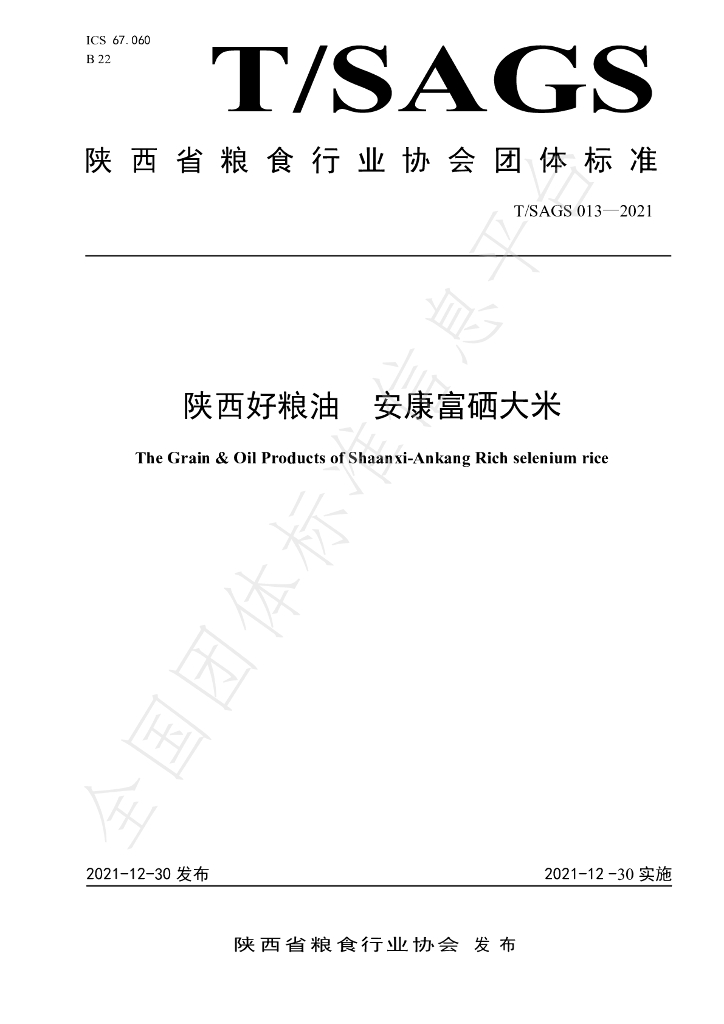 T/SAGS 013-2021 标准预览