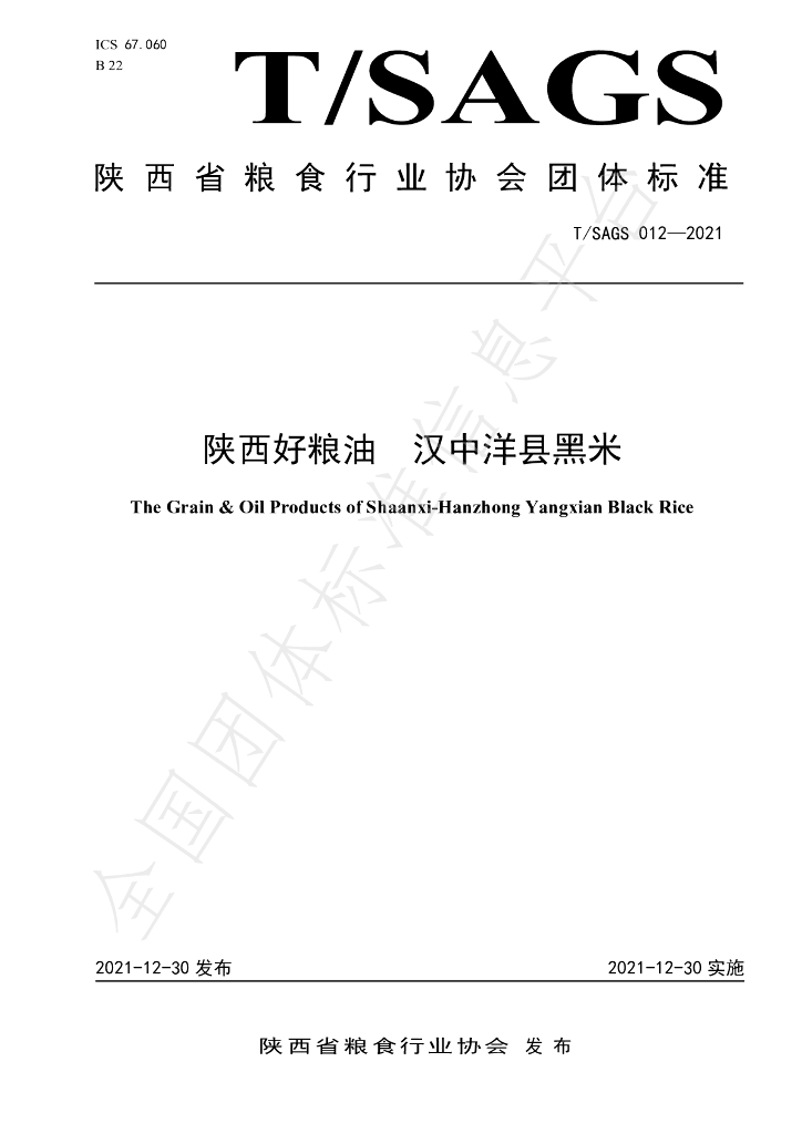 T/SAGS 012-2021 标准预览