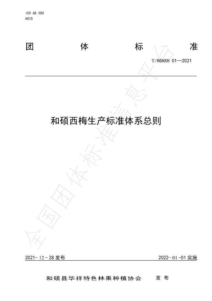 T/HSHXH 01-2021 标准预览