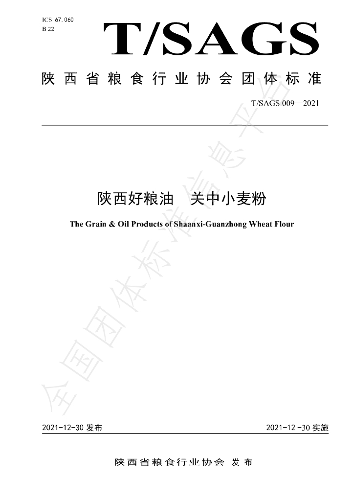 T/SAGS 009-2021 标准预览