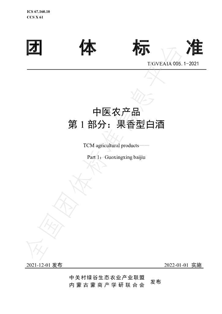 T/GVEAIA 005.1-2021 标准预览