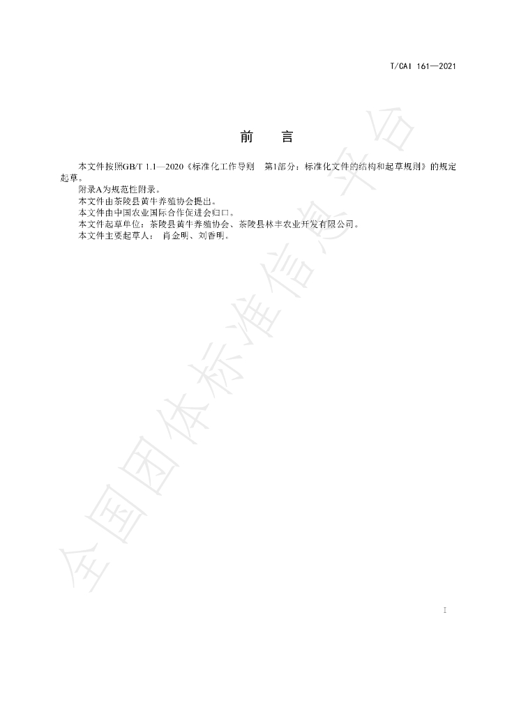T/CAI 161-2021 标准预览