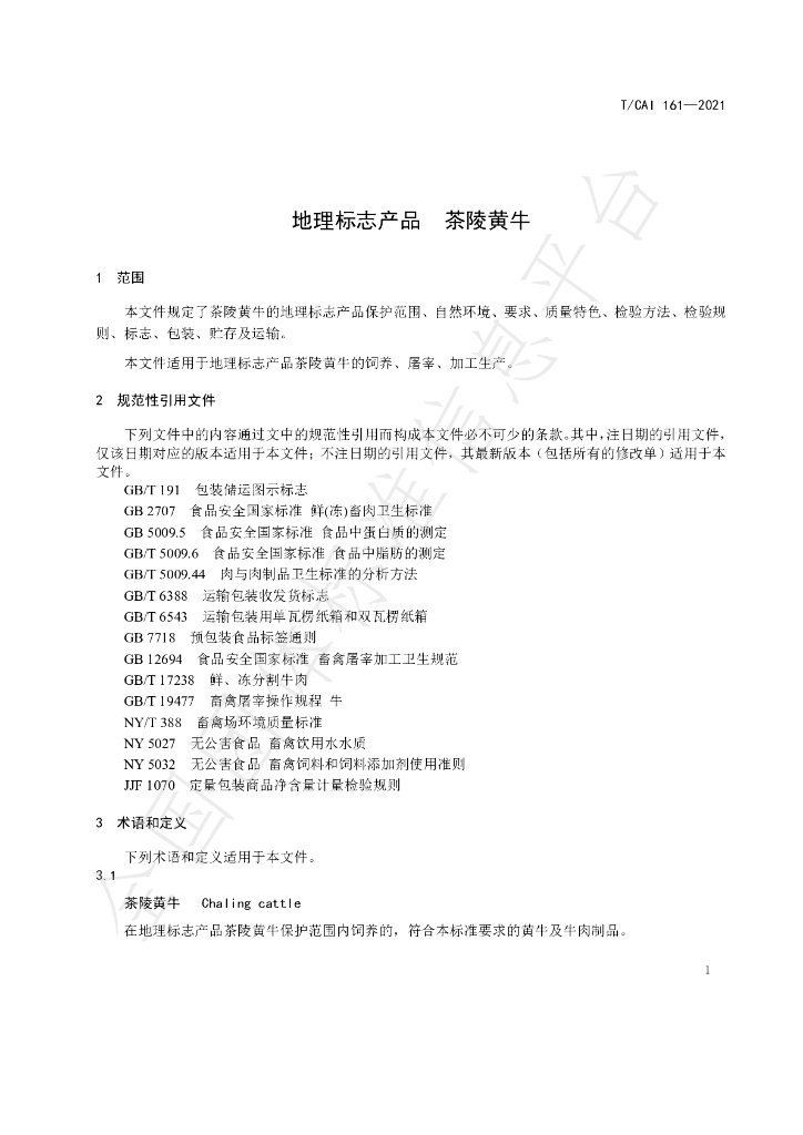 T/CAI 161-2021 标准预览