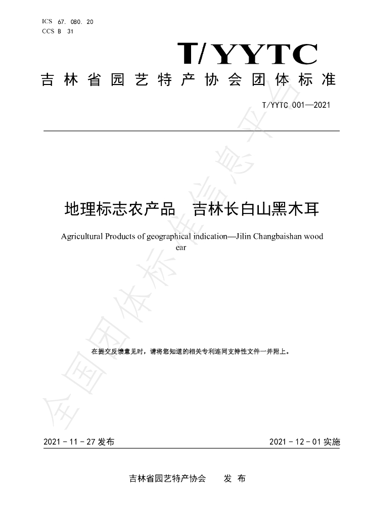 T/YYTC 001-2021 标准预览