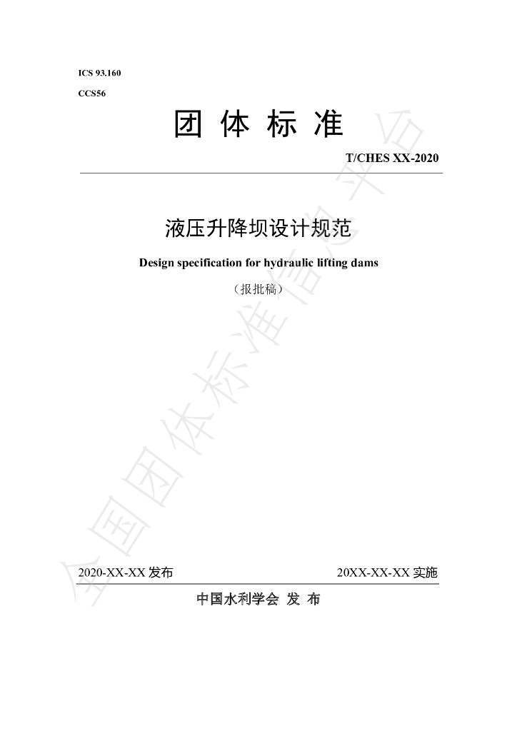 T/CHES 48-2020 标准预览