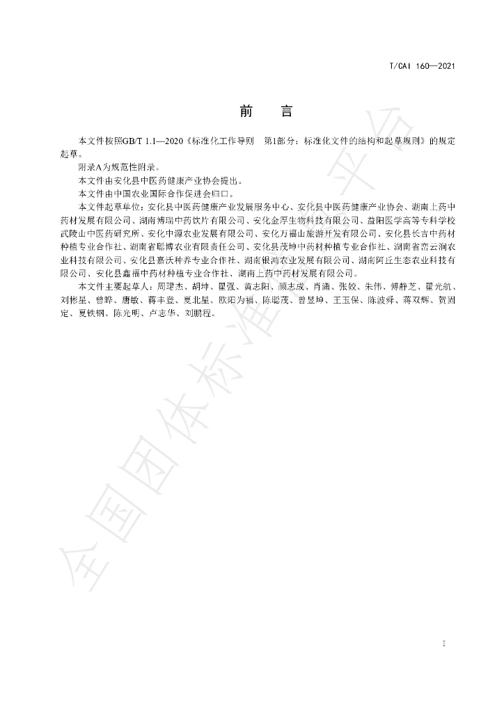 T/CAI 160-2021 标准预览