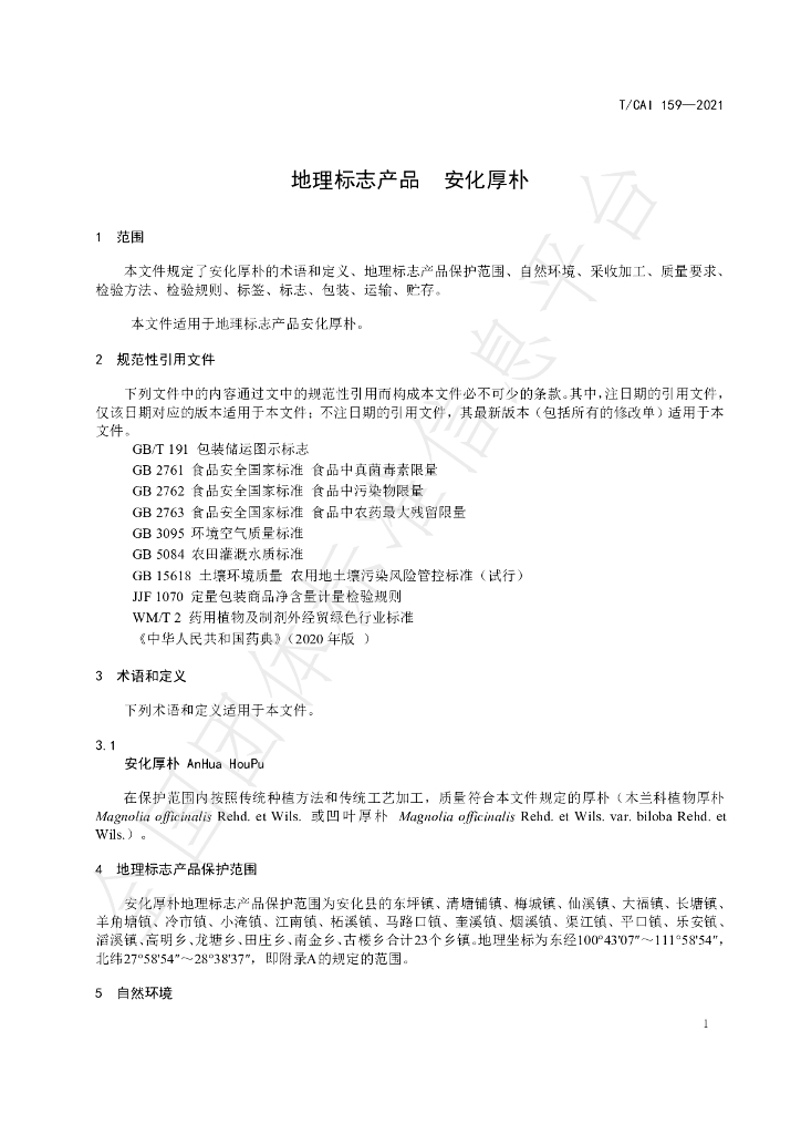T/CAI 159-2021 标准预览