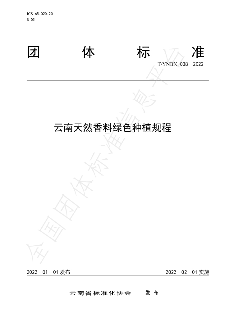 T/YNBX 038-2022 标准预览